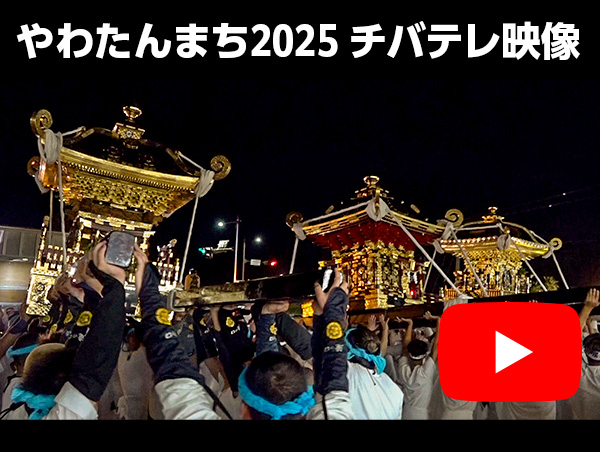 やわたんまち2025 チバテレ映像